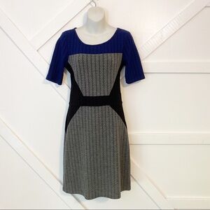 Papillon Blanc Color Block Cable Knit Short Sleeve Mini Dress Gray Sz M